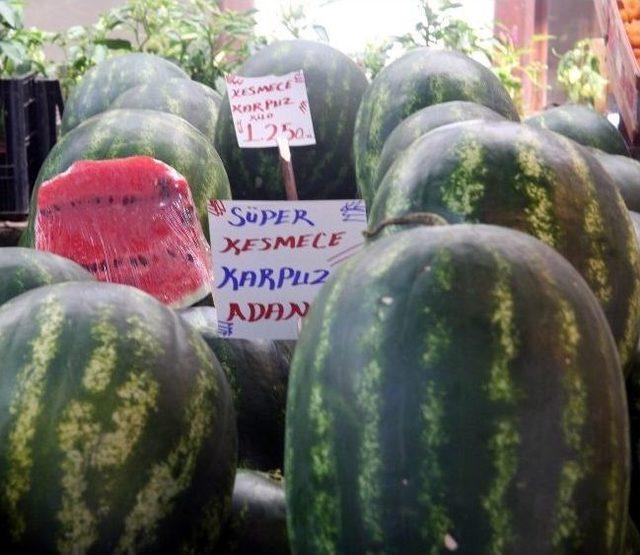 Kabak Aşısı Karpuzun Hem Fiyatını, Hem Kalitesini Düşürdü