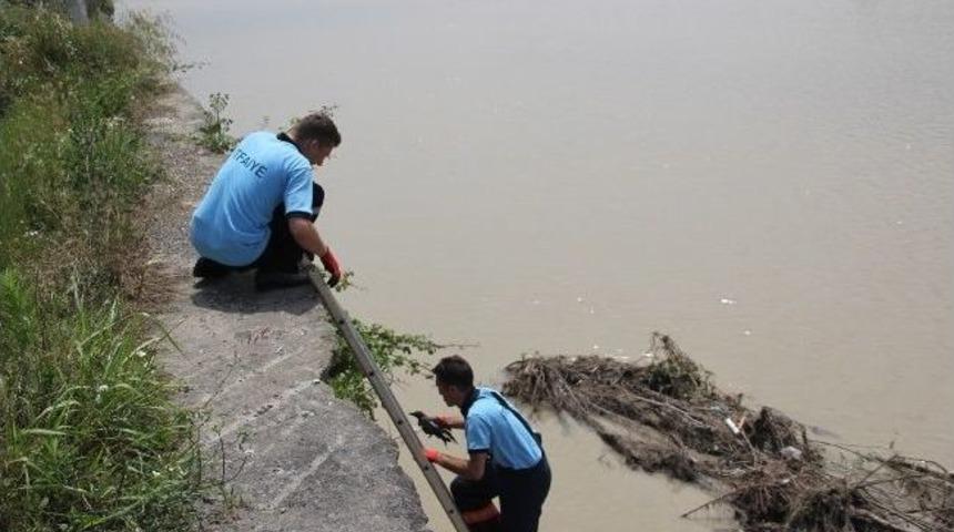Dereye D&uuml;şen Karga Yavrusunu İtfaiye Ekibi Kurtardı