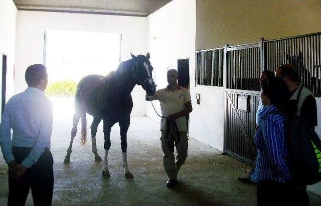 T&uuml;rkmen Atları Devlet Birliği Uzmanlarına Eğitim 1