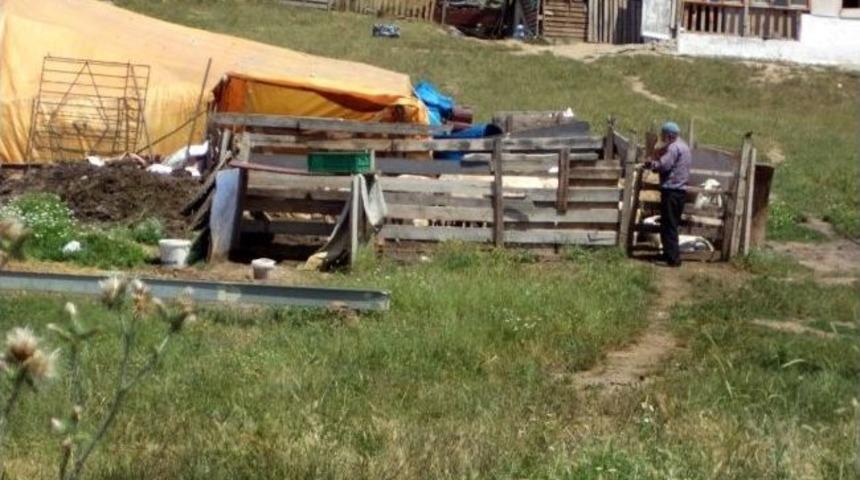 Mahalle Olan K&ouml;ylerde Ağıllar Kaldırılıyor