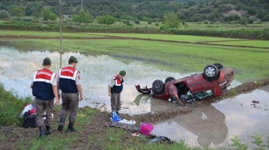 Otomobil &Ccedil;eltik Tarlasına U&ccedil;tu: 2 Yaralı