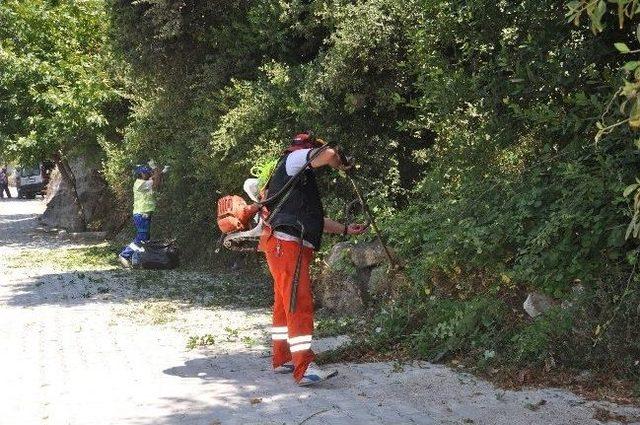 Bodrum Güzelleşiyor