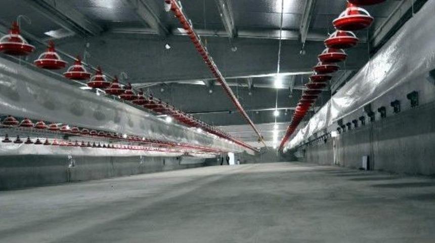 Aydın Tkdk&rsquo;dan Tavuk&ccedil;uluğa Destek