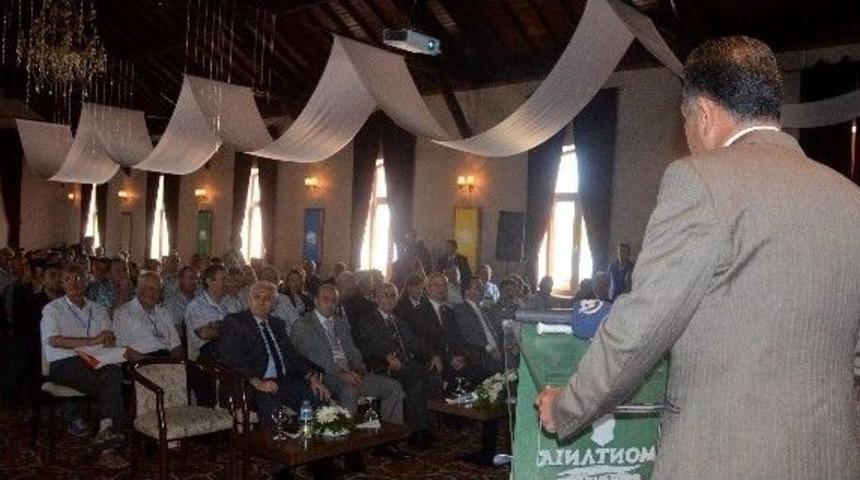 Uludağ Kirazı 10 Liradan İhra&ccedil; Ediliyor