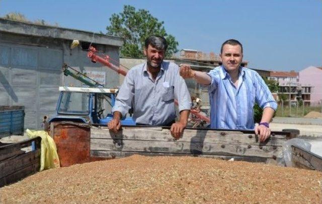 Buğdayı Getir Altını Kazan 1