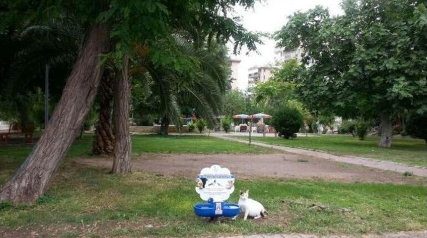 Bayraklı'da Yaşam Kapları Yenilendi