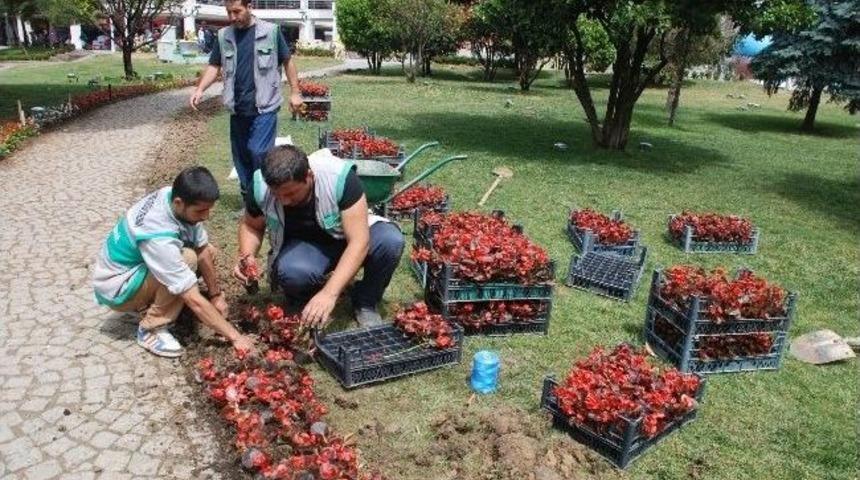 Sabri Yalım Parkında Bakım Yapıldı