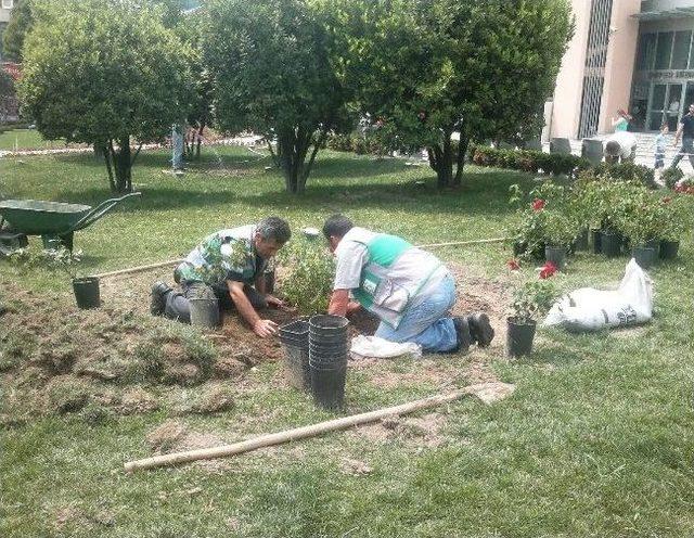 Sabri Yalım Parkında Bakım Yapıldı