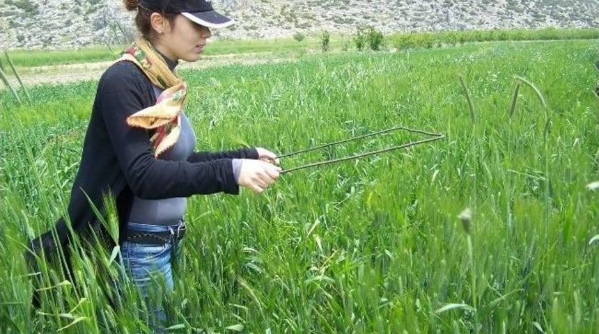 Korkuteli&rsquo;de S&uuml;ne Sorunu Yok