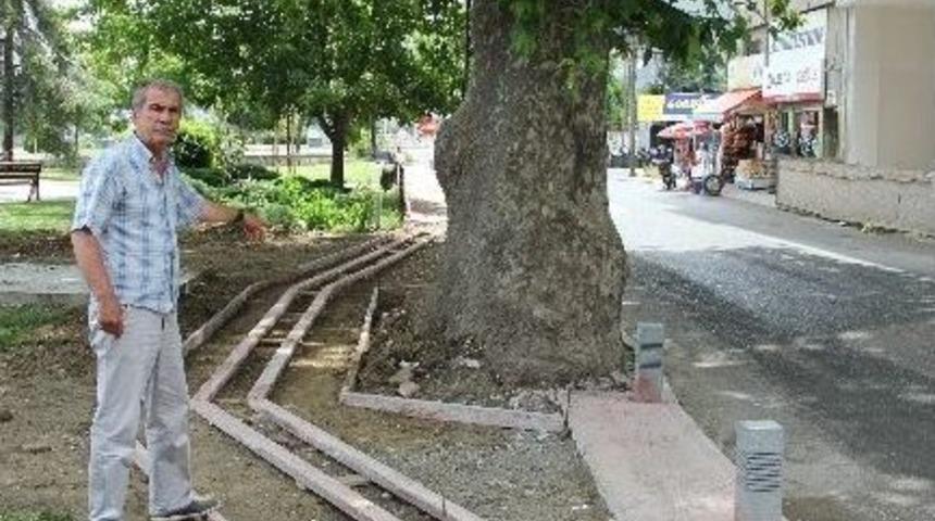 &Ouml;z&uuml;rl&uuml; Kaldırıma D&uuml;zenleme