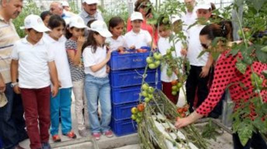 'lider &Ccedil;ocuk Tarım Kampı' Programı Uygulandı