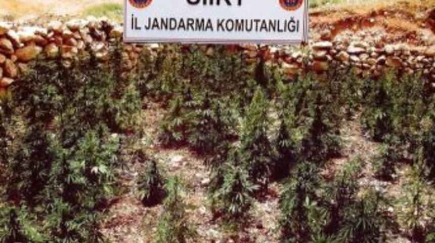 Son Bir Ayda 1 Milyon 921 Bin 484 Liralık Kaçak Malzeme Ele Geçirildi