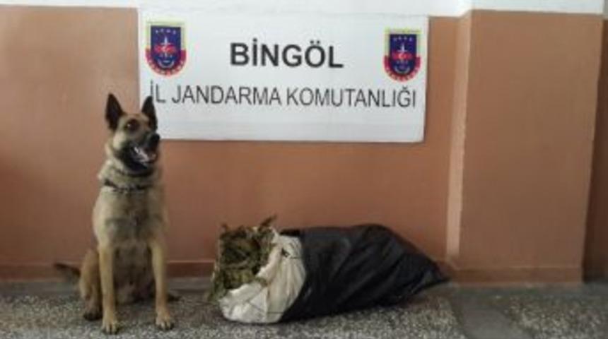 Bing&ouml;l&rsquo;de 9 Kilogram Esrar Ele Ge&ccedil;irildi