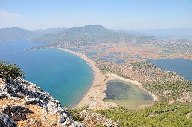 İztuzu Plajı'nın Özel Sektöre Verilmesi