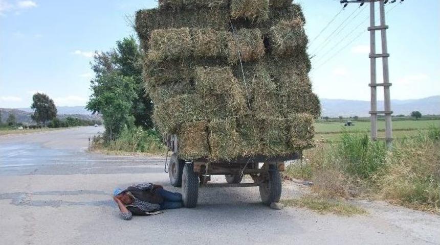 Çiftçiler Kış Hazırlıklarına Başladı