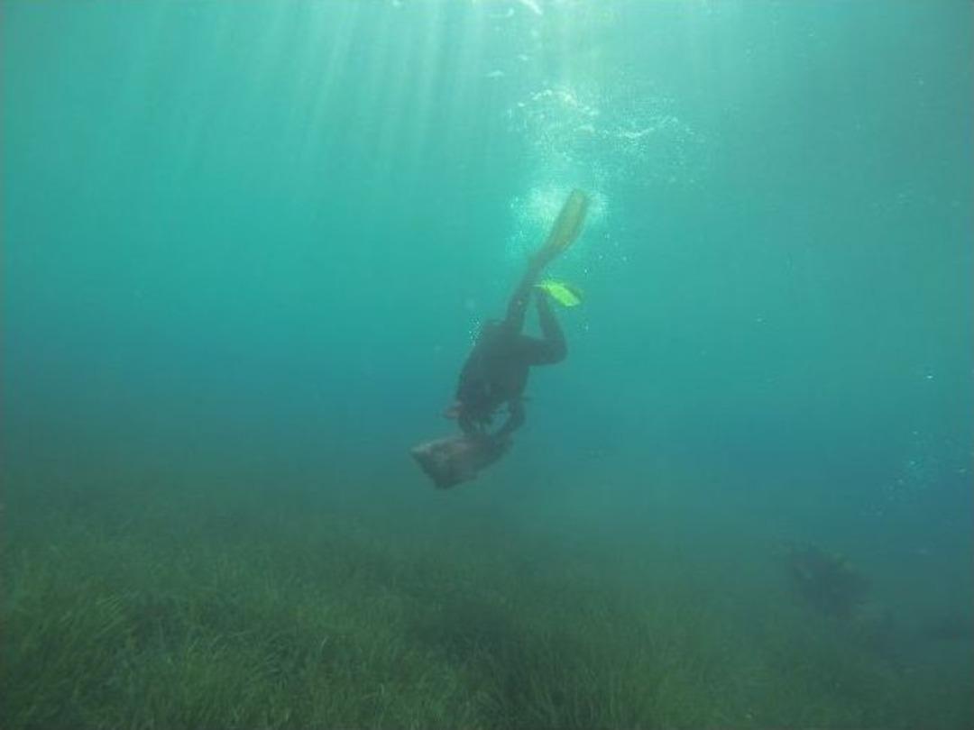 Bitez&rsquo;de Deniz Dibi Temizliği Yapıldı