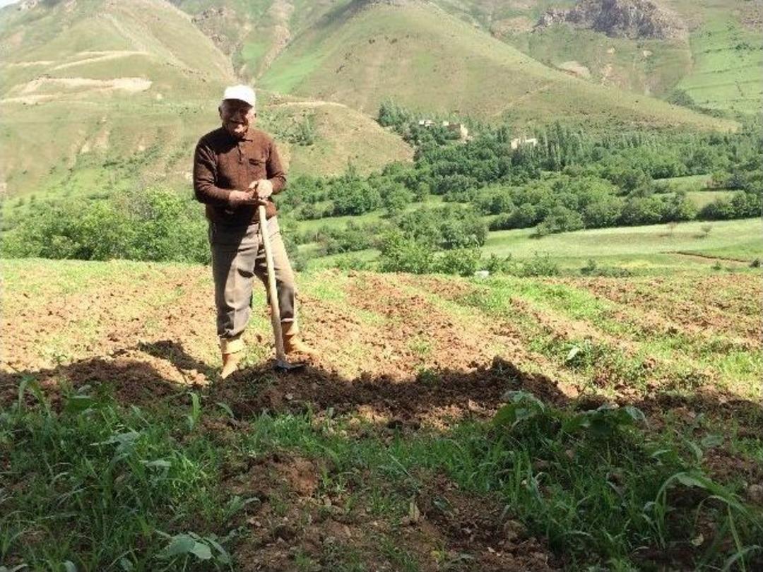 O Bah&ccedil;esaray&rsquo;ın Robenson'u