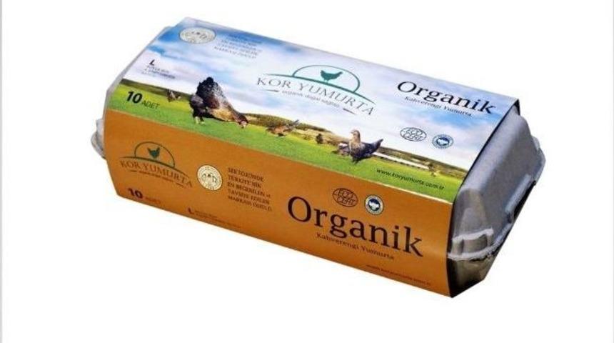 Ege B&ouml;lgesi'ne Organik K&ouml;y Kuruluyor