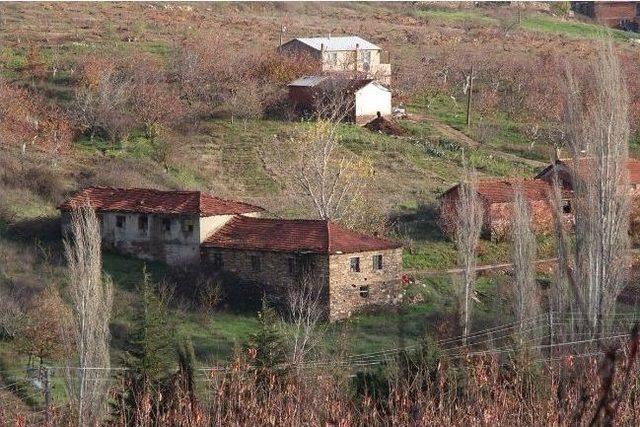 Ege Bölgesi'ne Organik Köy Kuruluyor