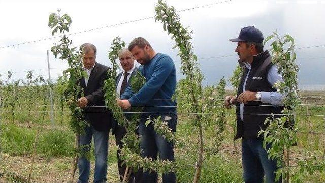 Bitlis’te Meyvecilik Sektörü