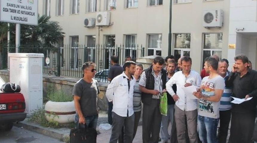 Salyangoz Avcılarından Para Cezası Tepkisi