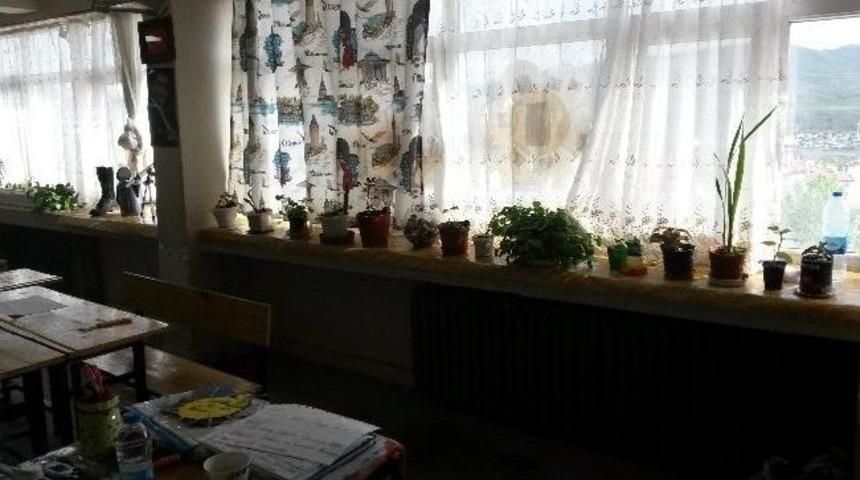 Doğayla Barışık Sınıf