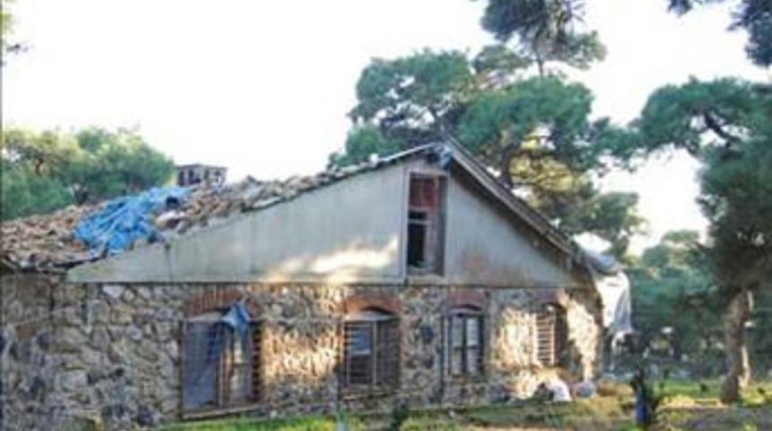 Geceleri &ccedil;ığlıklar duyuluyor