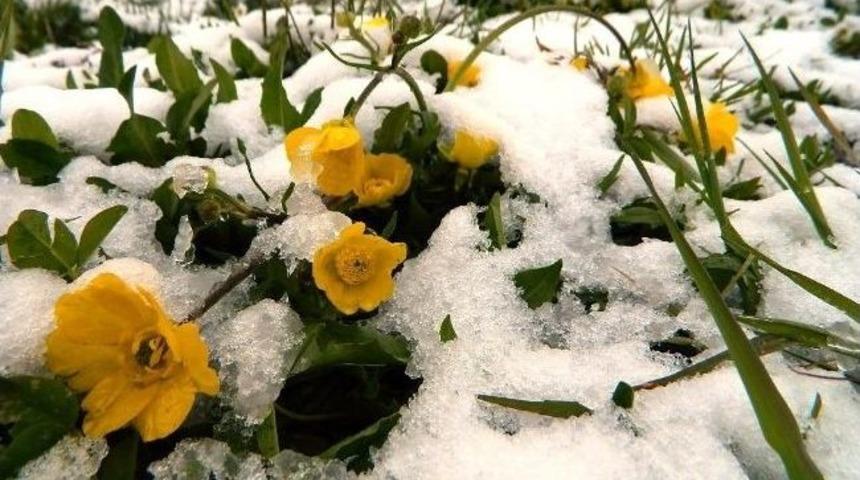 Posof&rsquo;a Haziran Ayında Kar Yağdı