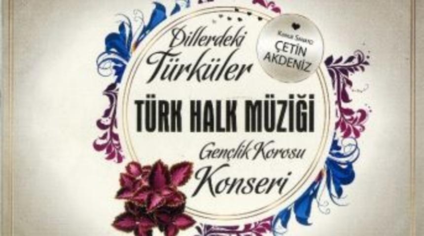 "dillerdeki T&uuml;rk&uuml;ler" Konseri
