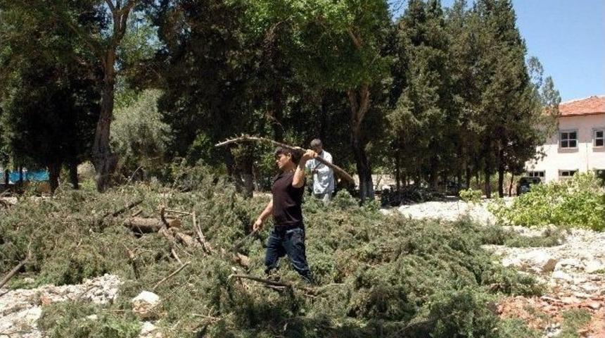 Kesilen Ağa&ccedil;lara Mahalle Sakinleri Tepki G&ouml;sterdi