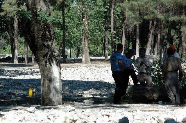 Kesilen Ağaçlara Mahalle Sakinleri Tepki Gösterdi