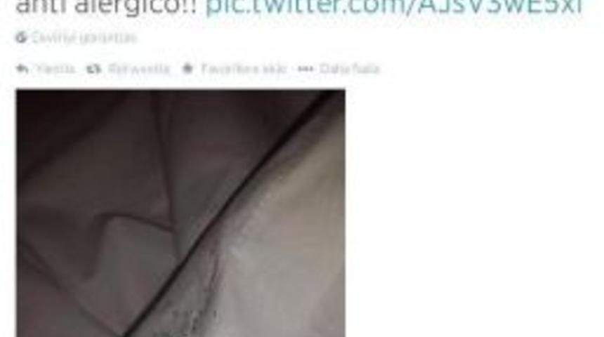 Muslera'nın Yatağını Karıncalar Bastı