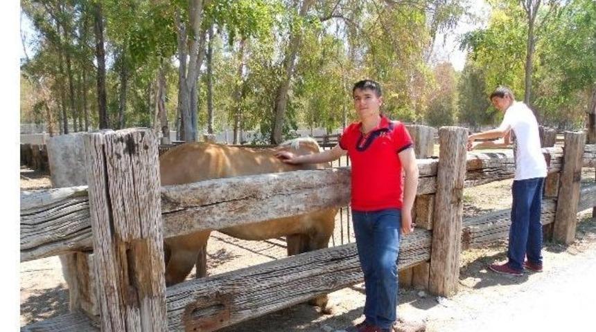 Hisarcık &Ccedil;pl &Ouml;ğrencileri İzmir Hayvanat Bah&ccedil;esinde