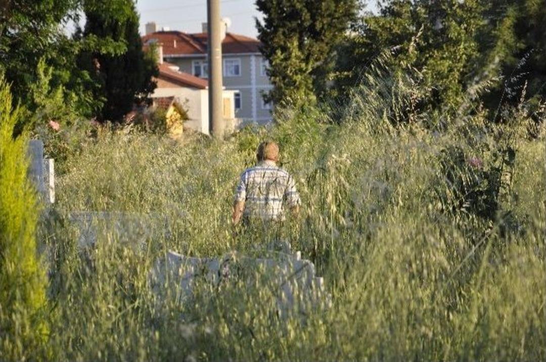 Bakımsız Mezarlık Vatandaşları &Ccedil;ileden &Ccedil;ıkardı