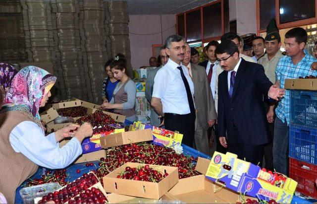 Manisa'dan Kısa Kısa