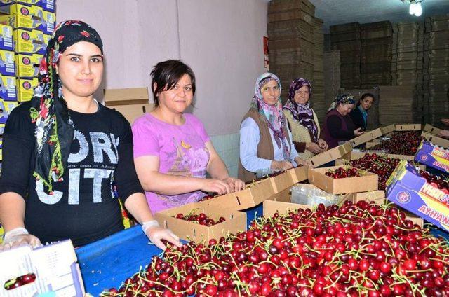 Manisa'dan Kısa Kısa