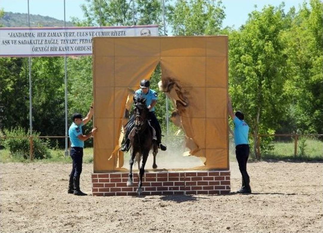 Jandarmanın Eğitimli At Ve K&ouml;peklerinin G&ouml;sterisi Nefes Kesti