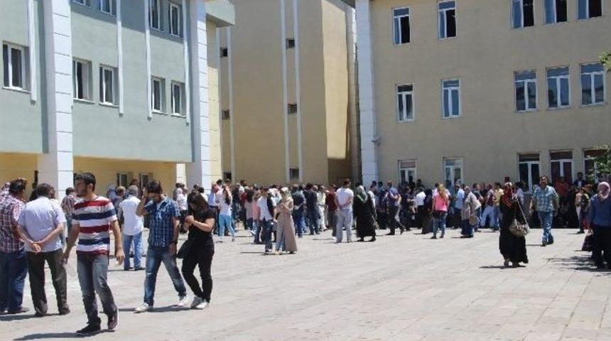 Sakarya&rsquo;da Lys Heyecanı