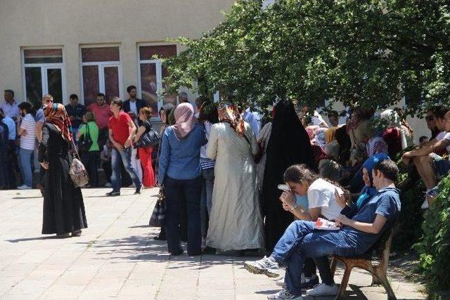 Sakarya’da Lys Heyecanı