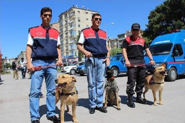 Elazığ'da Jandarma Teşkilatının Kuruluş Yıl Dönümü Kutlandı