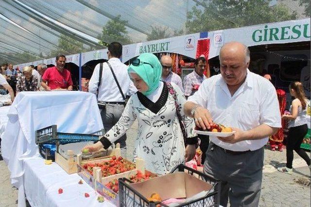 Sekiz Günde Hazırlanan 'en Uzun Lezzetler', Sekiz Dakikada Bitti