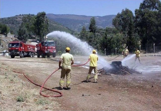 Hatay’da Geçen Yıl Bin 450 Hektar Orman Yandı