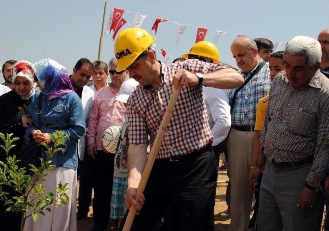 Gaziosmanpaşalılar 301 Madenci İ&ccedil;in 301 Fidan Dikti