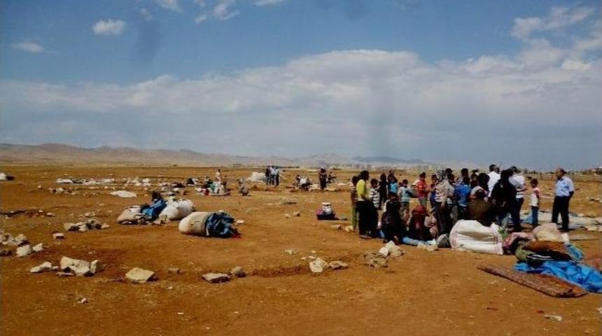 Kızıltepe'de Zabıtadan Dilenci Operasyonu