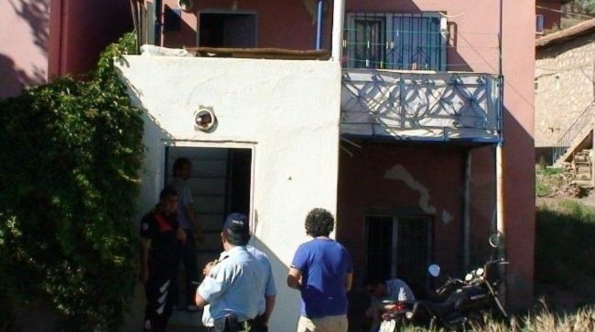 Komşuların K&ouml;pek Kavgası: 1 Yaralı