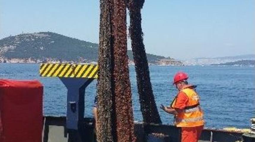 Denizden 240 Bin Metrekarelik Terk Edilmiş Ağ &Ccedil;ıkartıldı