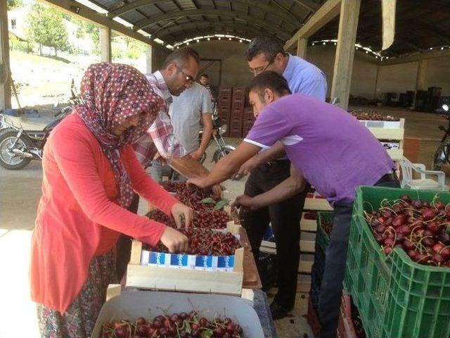 Meyve Alım Merkezinde Alım Yerleri Kura İle Belirlenecek