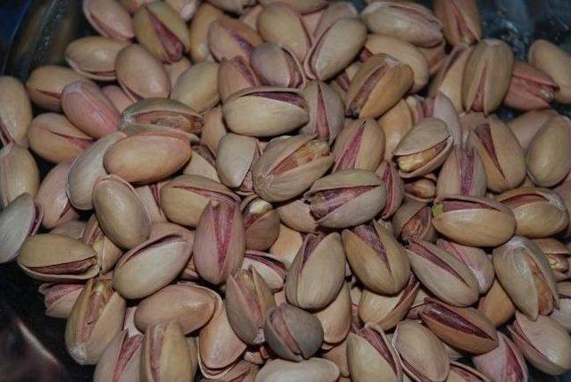 (&ouml;zel Haber) Don, Fıstık Rekoltesini D&uuml;ş&uuml;rd&uuml; Fiyatları Y&uuml;kseltti 2