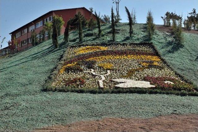 &Ccedil;im Ekimine Teknolojik Destek 1