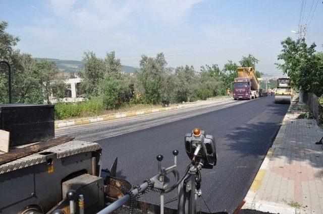 Kocaorman Caddesi Asfaltlandı 1